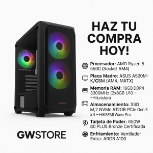 PC Gamer Ryzen 5 5500 + RX 7600 | 16GB + SSD 512GB | GWStore